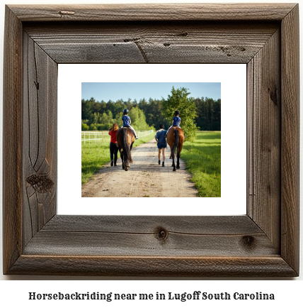 horseback riding near me in Lugoff, South Carolina